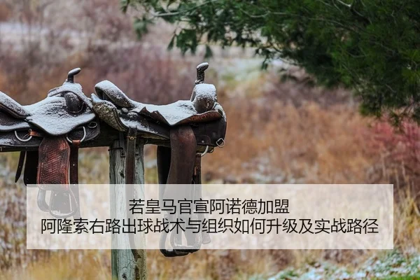 ruo-huang-ma-guan-xuan-a-nuo-de-jia-meng-a-long-suo-you-lu-chu-qiu-zhan-shu-yu-zu-zhi-ru-he-sheng-ji-ji-shi-zhan-lu-jing-1-347.jpg